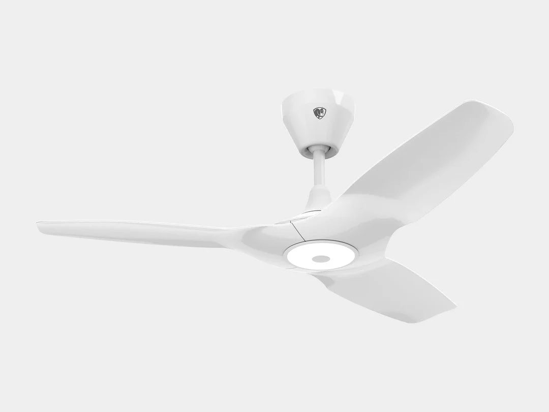 (página) VENTILADOR DE TECHO HAIKU® L