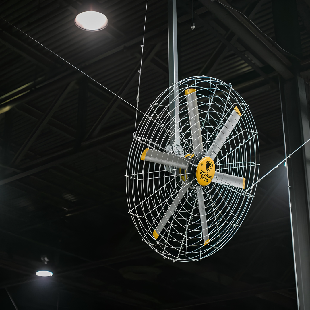 VENTILADOR DE PARED PIVOT®