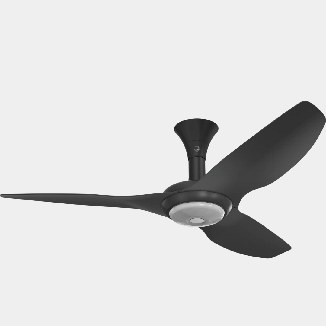 VENTILADOR DE TECHO HAIKU®