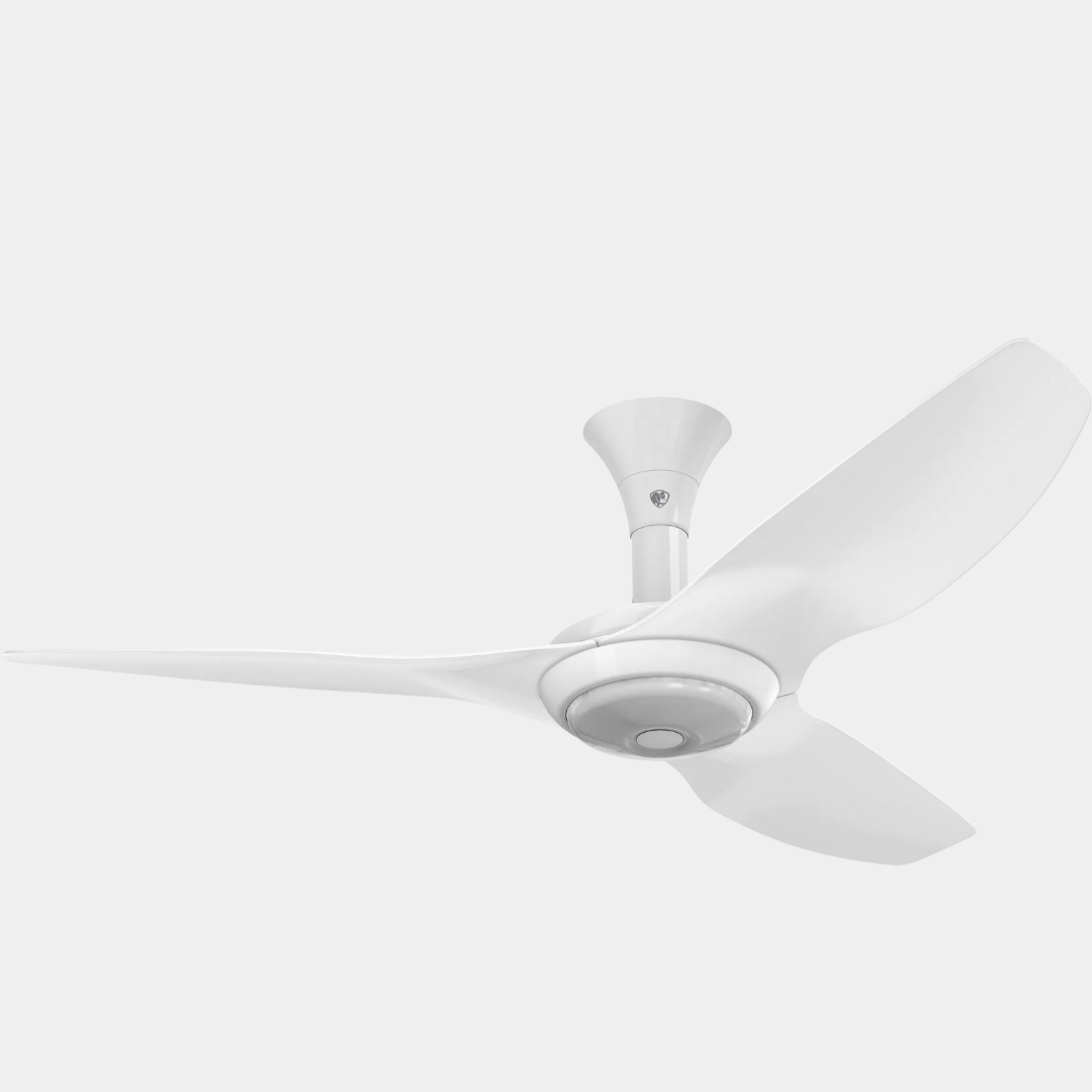 VENTILADOR DE TECHO HAIKU®